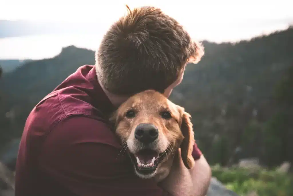 Como acostumar seu animal de estimação a uma nova rotina